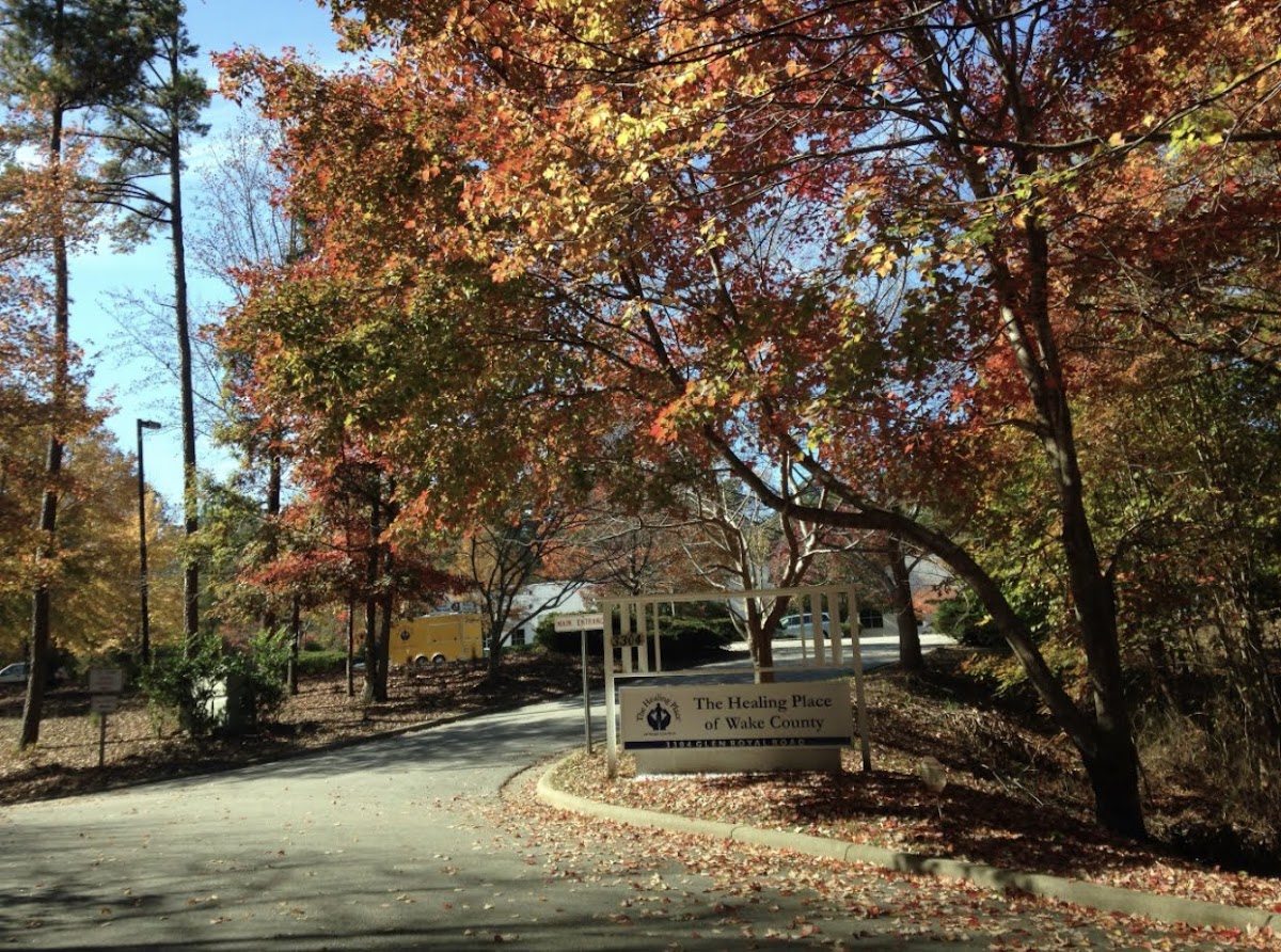 Healing Transitions - Photo 1