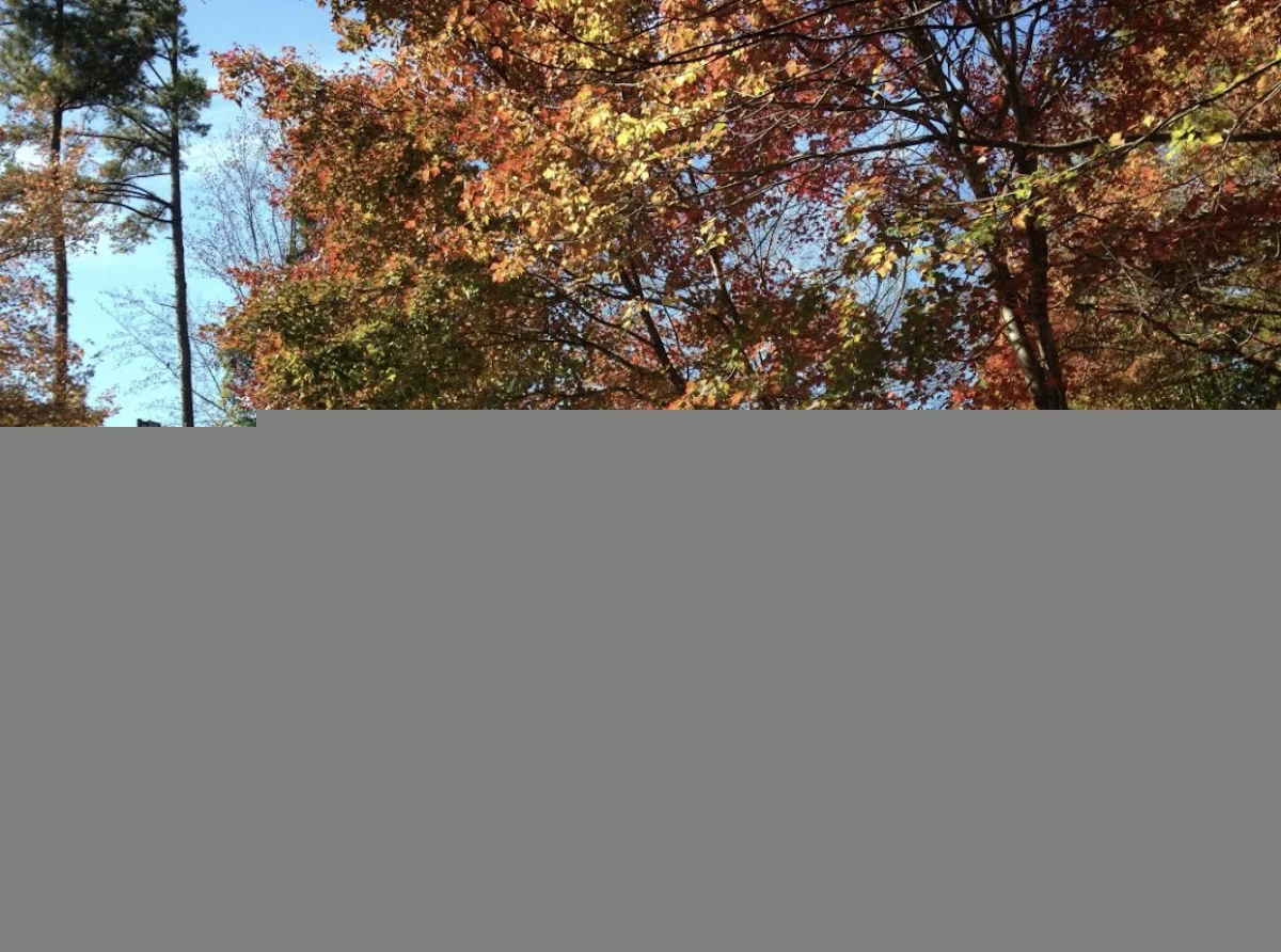 Healing Transitions