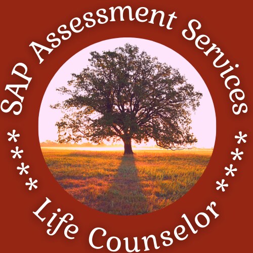SAP Evaluation and Counseling - Photo 2