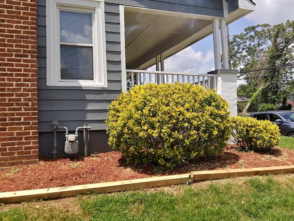 Eureka House - Photo 4